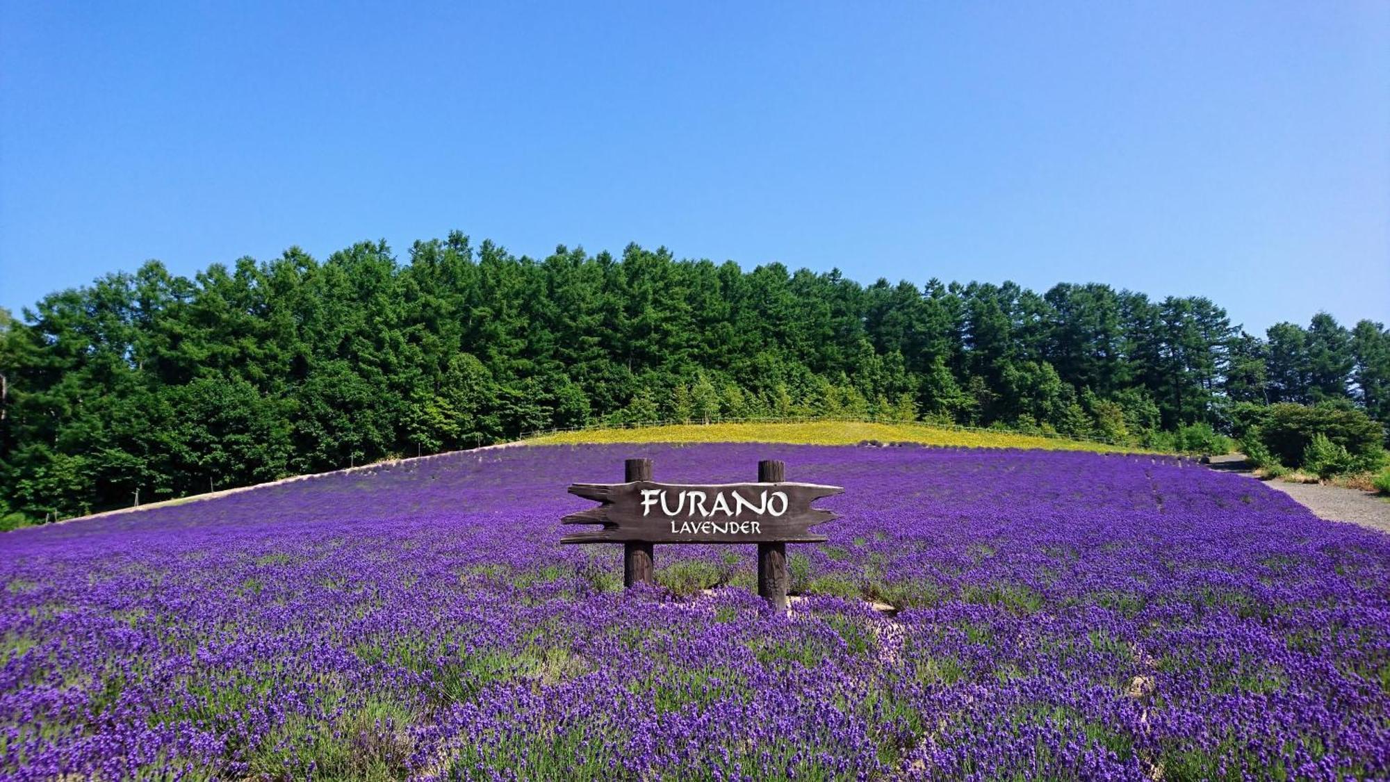 ふらの田園コテージヌプリ Villa Nakafurano Exterior foto